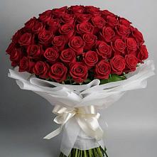 Букет 101 Красная роза Блэк Мэджик в Кургане