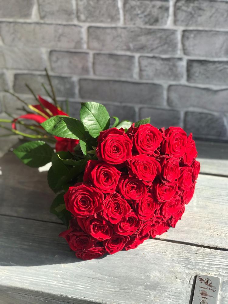 Букет Красные розы Фридом в Кургане