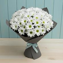Букет цветов из:  Хризантемы в Кургане