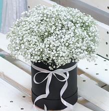 Цветочная композиция из Гипсофила в шляпной коробке в Кургане