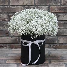 Цветочная композиция из Гипсофила в шляпной коробке #REPLACE_PRED# Кургане