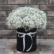Цветочная композиция из Гипсофила в шляпной коробке в Кургане
